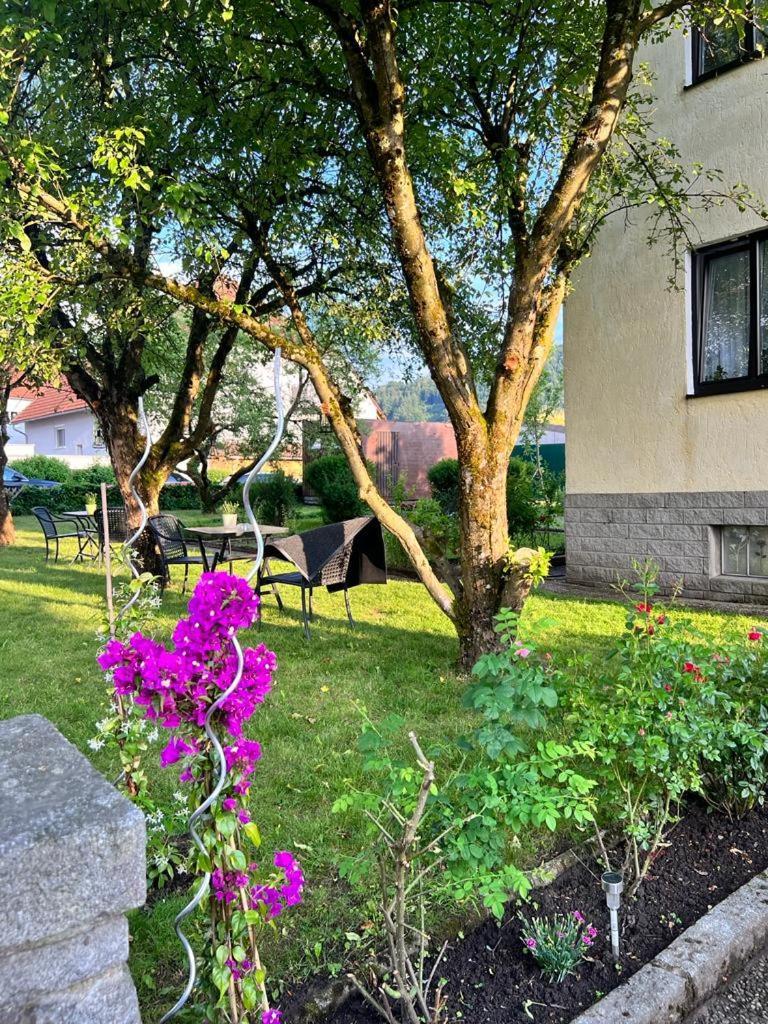 Pension Donaublick Grein 1 , Spitzfeldstr 1 Exterior foto