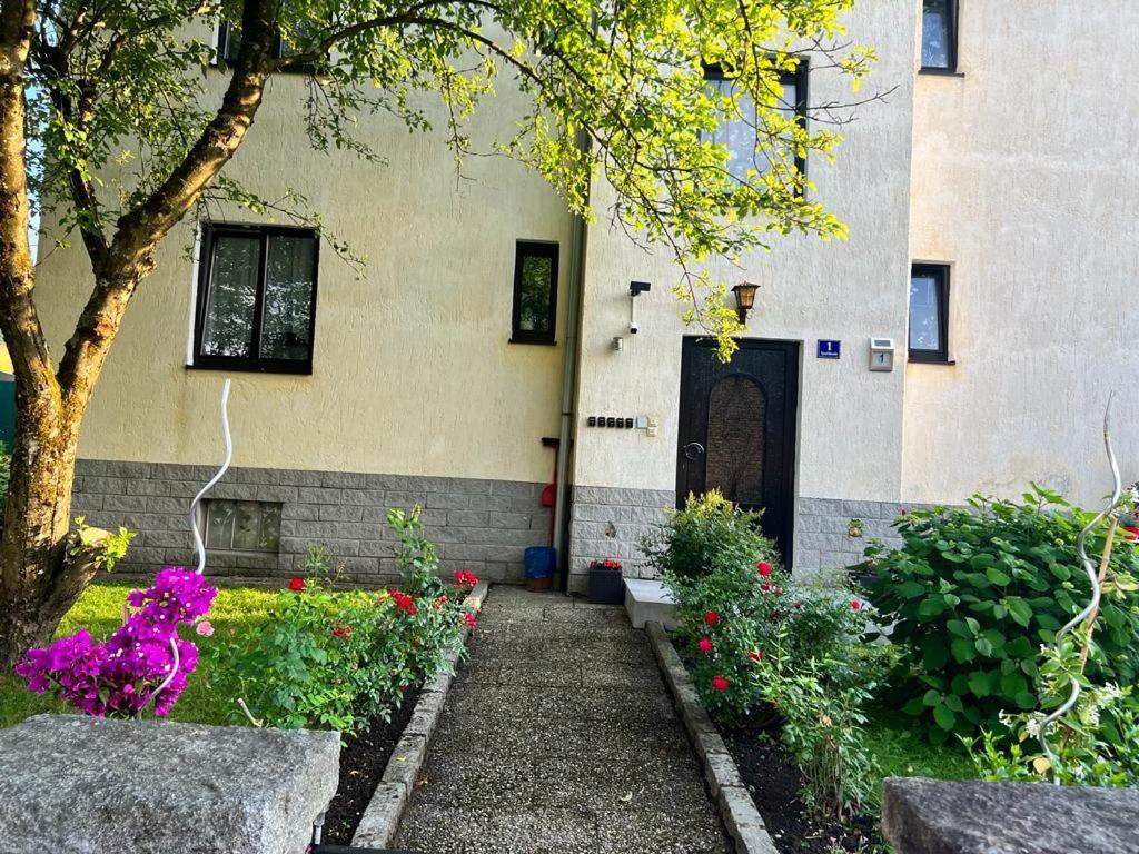 Pension Donaublick Grein 1 , Spitzfeldstr 1 Exterior foto