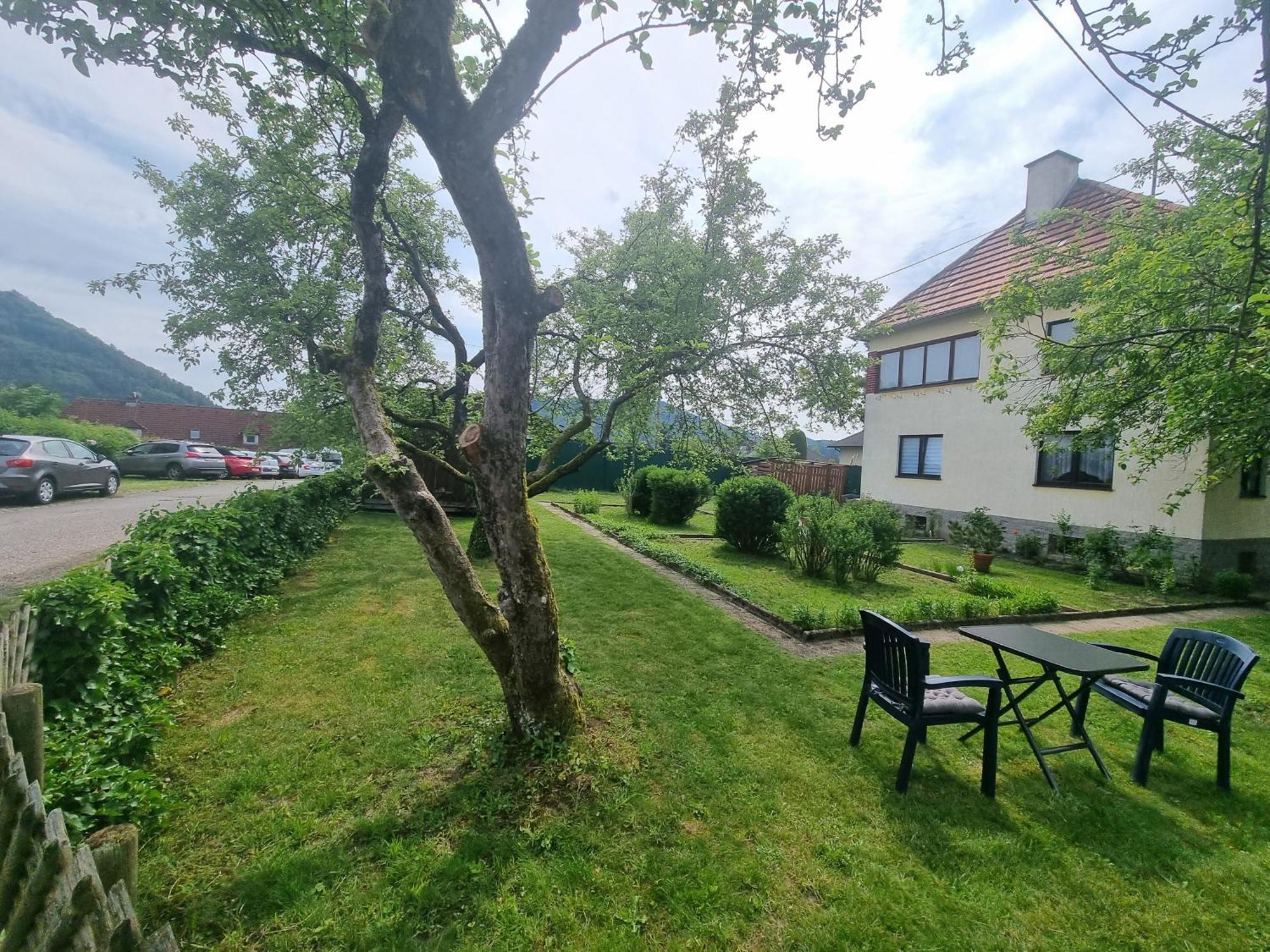 Pension Donaublick Grein 1 , Spitzfeldstr 1 Exterior foto